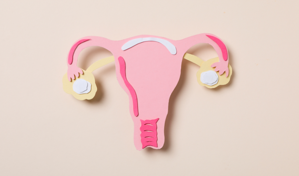 Probiotique flore intime : OMNi-BiOTiC® FLORA plus