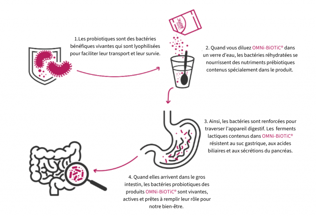 omni biotic qualite produits