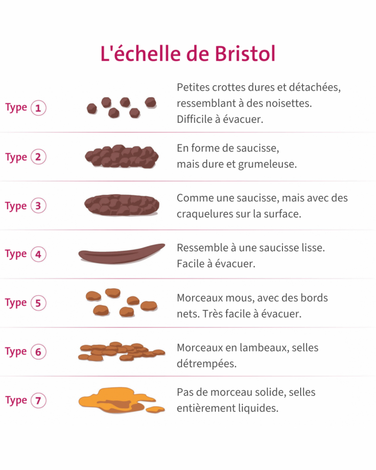 Echelle de Bristol - Selles