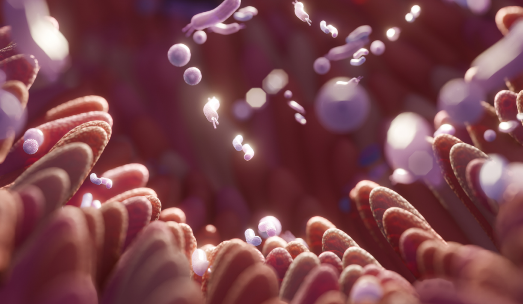 Un microbiote intestinal équilibré pour soutneir l'axe intestin-cerveau