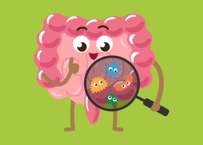 Maladies auto-immunes : comprendre le déséquilibre intestinal et renforcer son système immunitaire