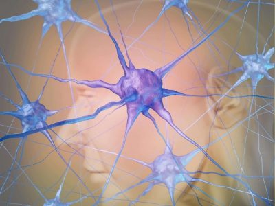 bélflóra időskorban, bélflóra kiegészítése, probiotikum, por probiotikum, probiotikum nőknek