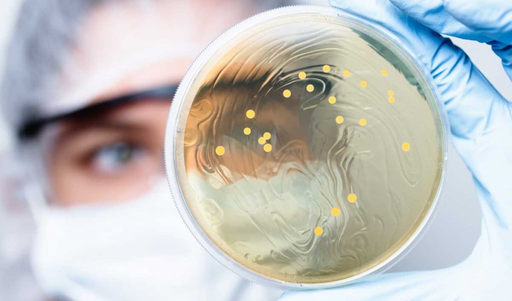 multirezisztens baktériumok, utazók hasmenése, antibiotikum hatása, hasmenés ellen, bélbaktériumok