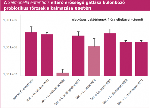 hamenés, utazók hasmenése, láz, probiotikum utazáskor