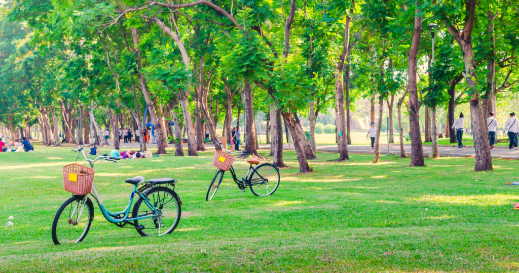 allergia ellen, allergia, allergiás tünetek