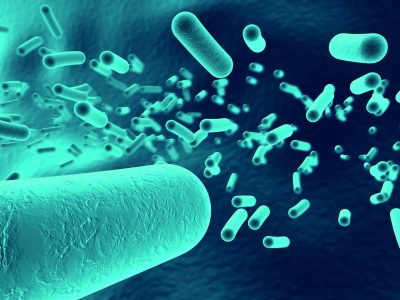 bélbaktériumok helyreállítása, bélbaktériumok, bélbaktériumok tünetei, bélflóra, mikrobiom, bélmikrobiom