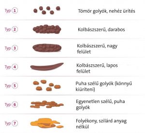 Probiotikum, melyik probiotikum, probiotikum hatása, bristol-skála, székletvizsgálat,