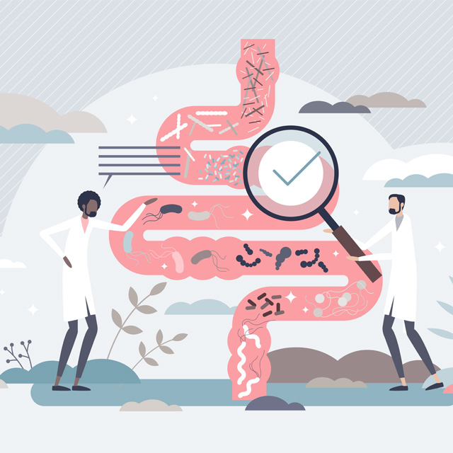 áteresztő bél szindróma, kiváltó okok, bélflóra, diszbiózis, áteresztő bél szindróma, szivárgó bél szindróma, probiotikum, omni-biotic, áteresztő bél szindróma, szivárgó bél szindróma, probiotikum, omni-biotic, atereszto bel szindroma, atereszto belszindroma, áteresztő bél szindróma probiotikum, atereszto belszindroma etrend, áteresztő bélszindróma