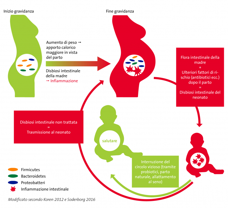 fermenti lattici_gravidanza_allattamento