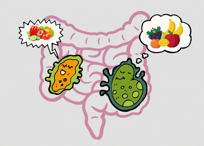 fibre-flora-intestinale-perché-non-riesco-a-dormire?