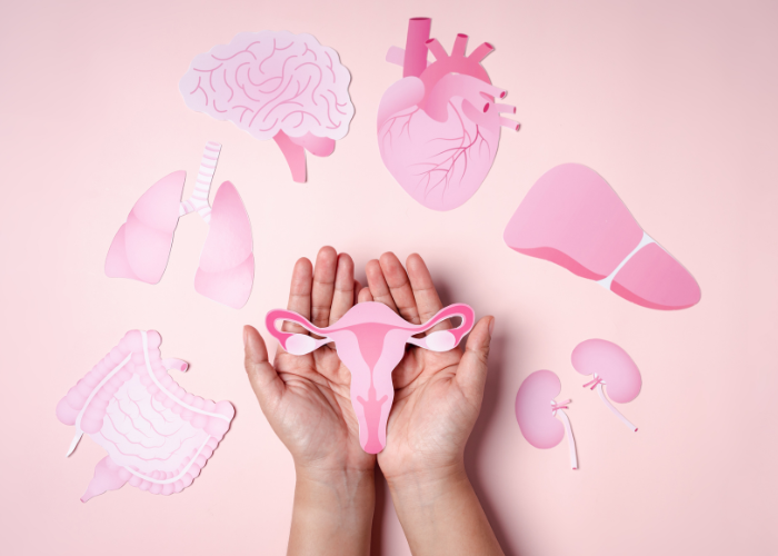 fertilità-intestino-PCOS