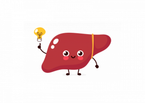 fegato-grasso-probiotici-zucchero-grassi