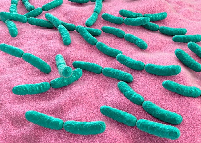 probiotici-migliori-fertilità