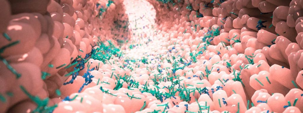 1200x450 mikrobiom darm bg13 wig 1