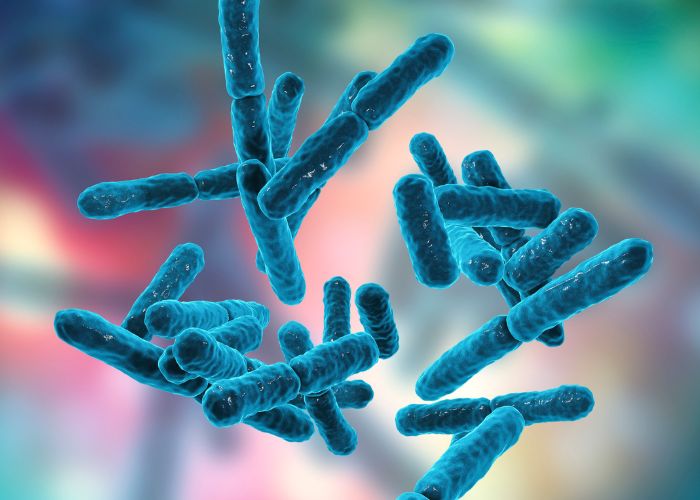 probiotika pri hojeni ran