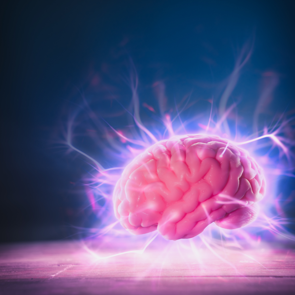 emocionalna podpora mozog