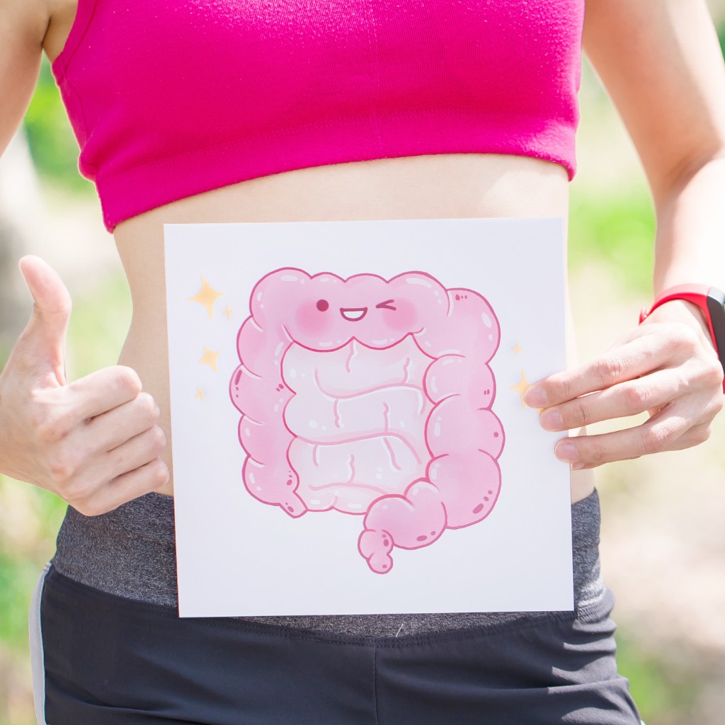 gut health centre of health