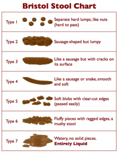 bristol_stool_chart