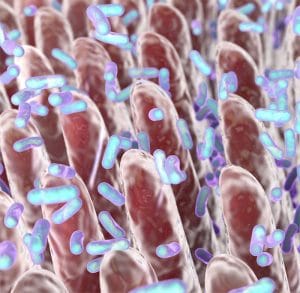 Dysbiose und falsche Ernährung als Mit-Verursacher von multipler Sklerose